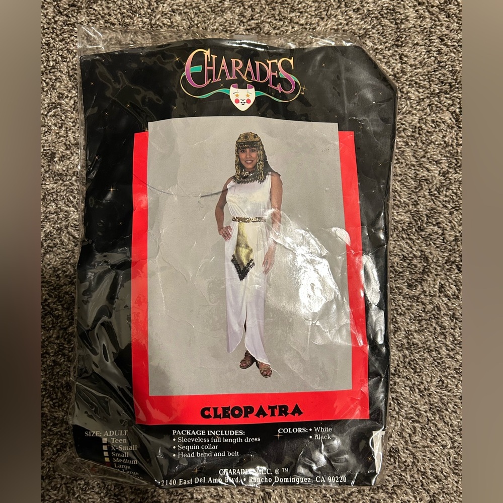Cleopatra Adult Costume - White and Gold